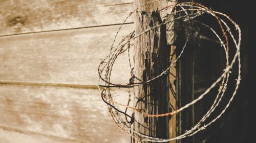 Barbed